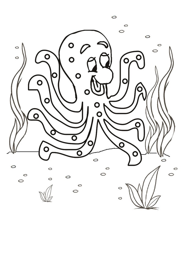 octopus colouring page