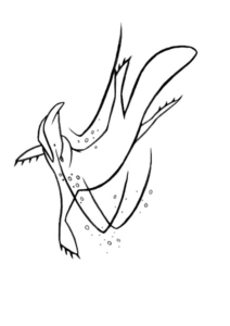 Platypus colouring page