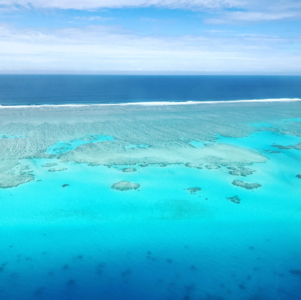 Ocean reef Momi Bay Fiji