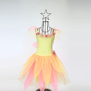 Fairy Shop Dress