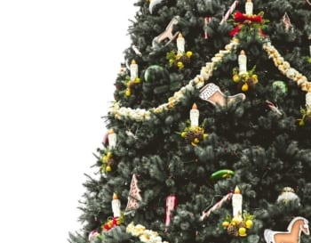 real christmas tree