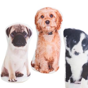 Puppies