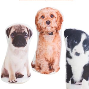 Adopt a puppy