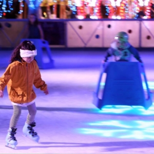 paradice skating