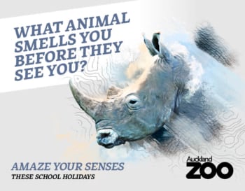 Auckland_Zoo_School_holidays