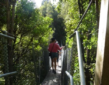 day walks with children