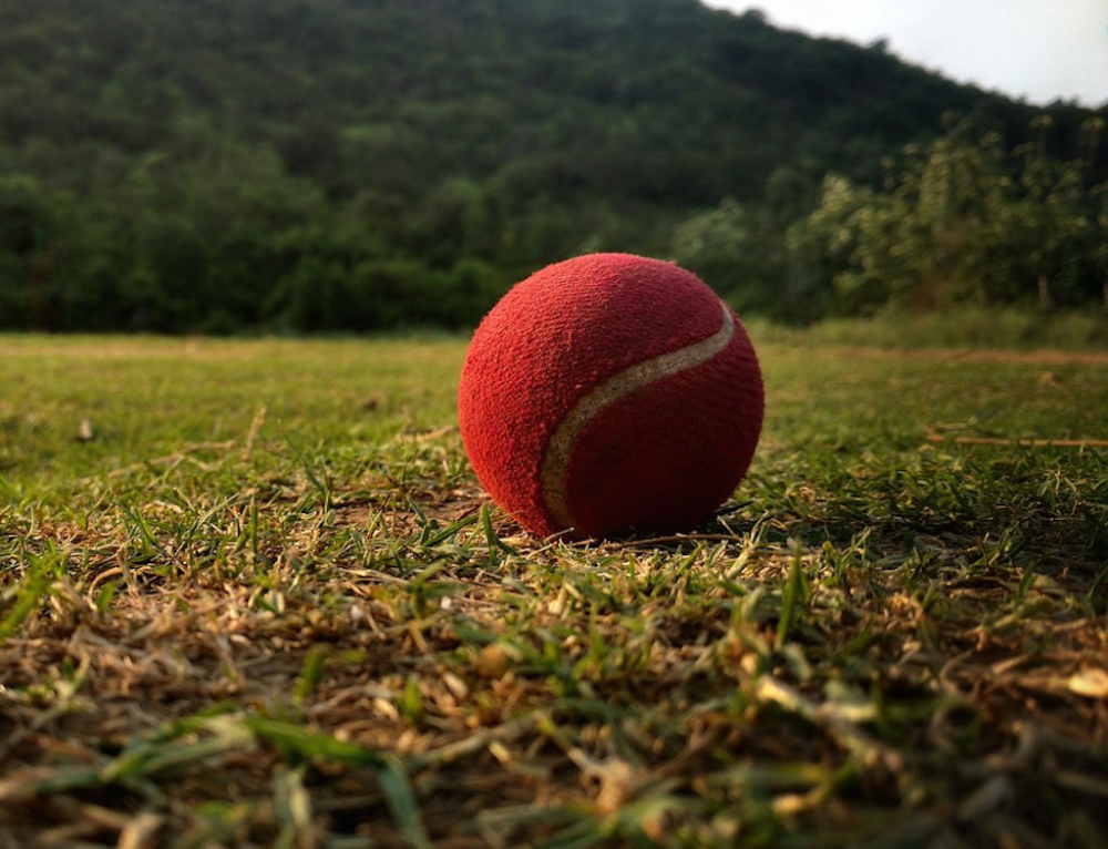 Road trip game: Car cricket