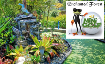 enchanted forest family deal