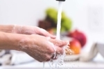 pregnancy food safety