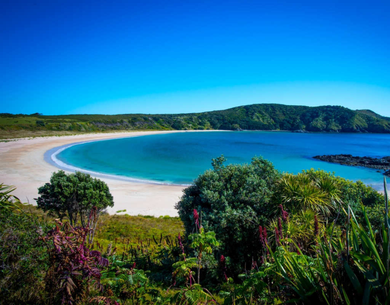 Maitai Bay Northland