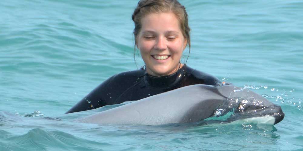 Hector's Dolphins