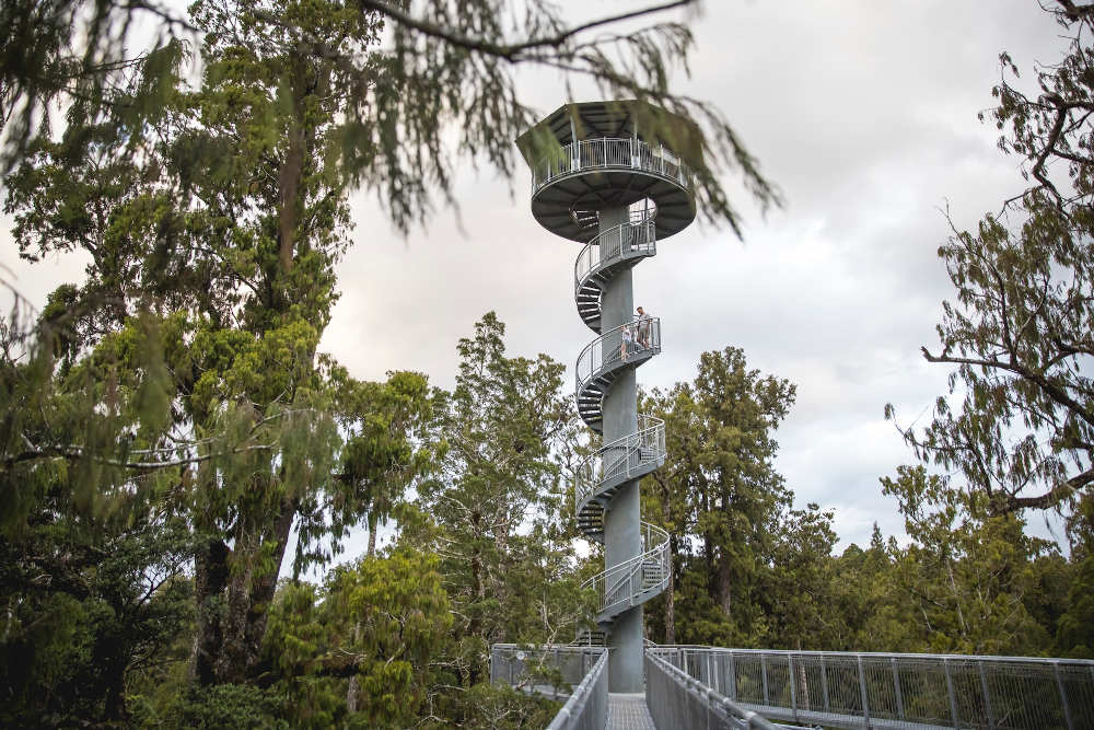 West Coast Treetop Walk