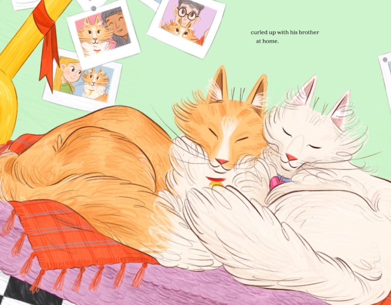 The Adventures of Mittens Book Review Family Time Kidspot