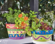 go-potty-how-to-make-colour-herb-pots