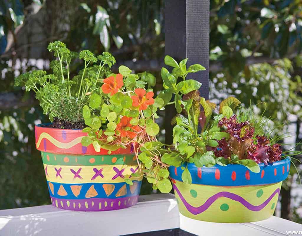 go-potty-how-to-make-colour-herb-pots