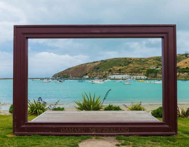 New Zealand Staycation