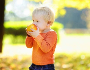 Milestones in your toddlers eating development