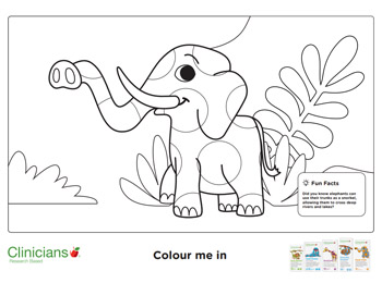 Clinicians Colouring - Elephant