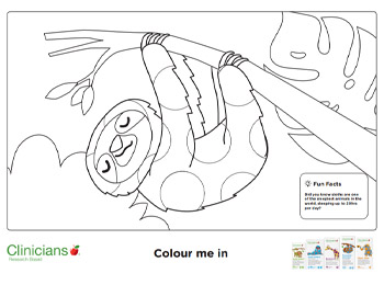 Clinicians sloth colouring