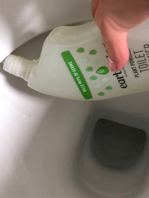 Earthwise Toilet Cleaner 