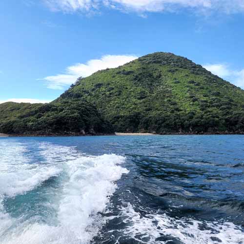 Moutohorā (Whale Island)