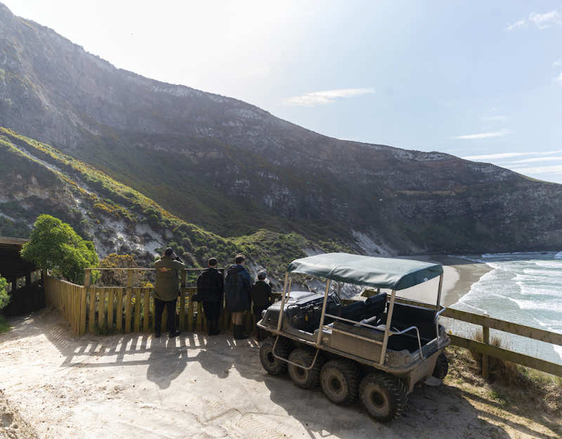 Natures Wonders Tour Dunedin