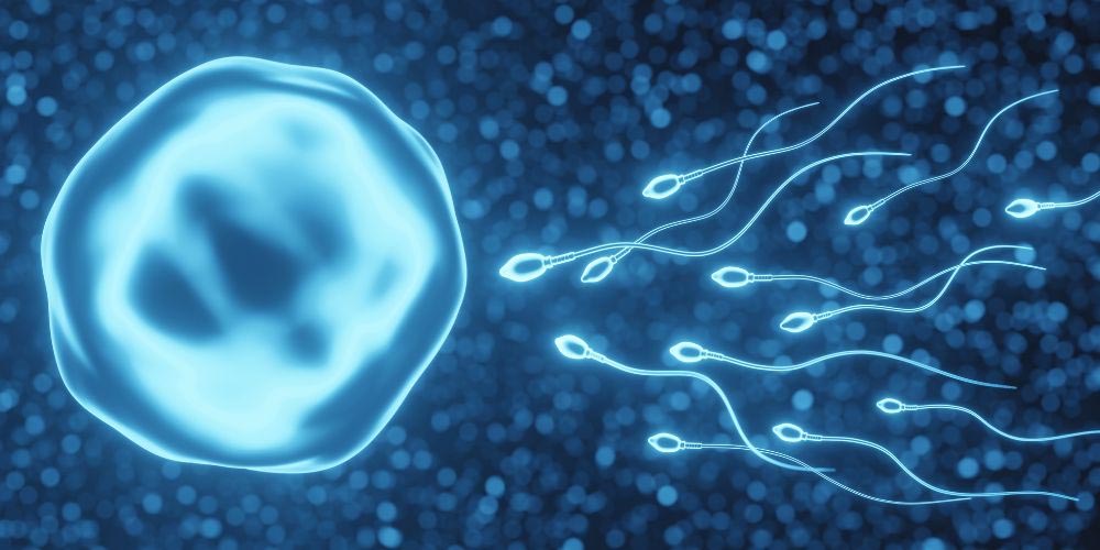 Sperm's amazing race