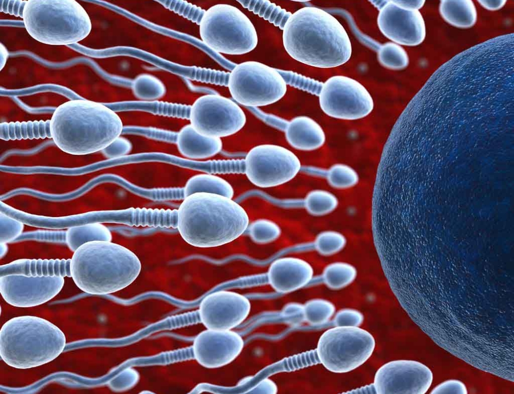 Tips For Growing Healthy Sperm