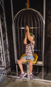 The pulley