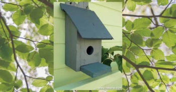 Rustic bird house