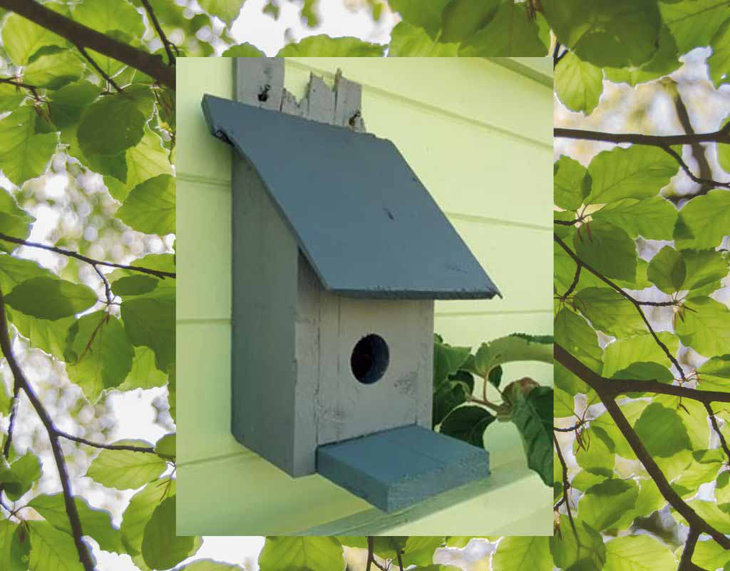 Rustic bird house