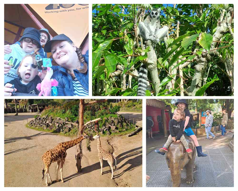 Auckland Zoo review