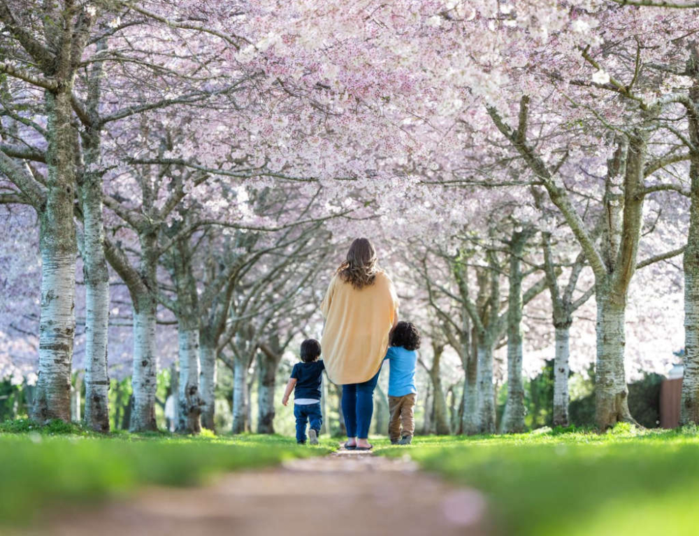 Discover the Mighty Waikato: Your Family-Friendly Spring Adventure