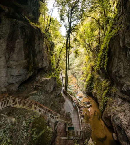 Mangapohue Natural Bridge