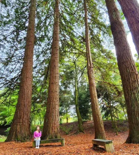 Taitua Arboretum