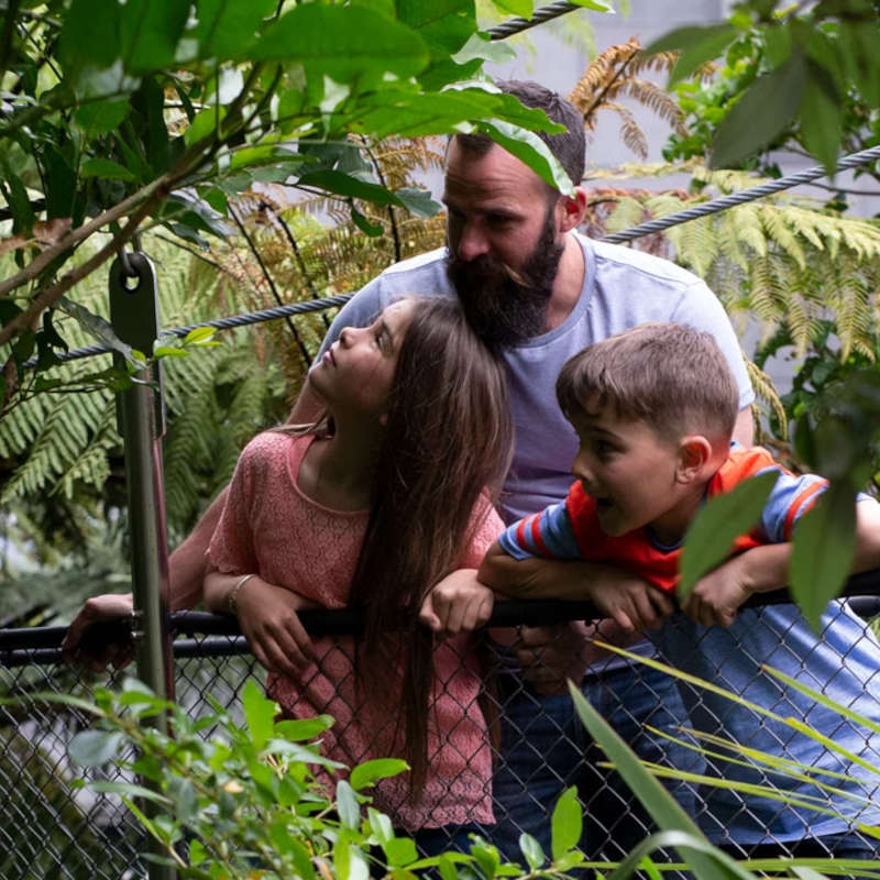 Te Papa School holiday activities