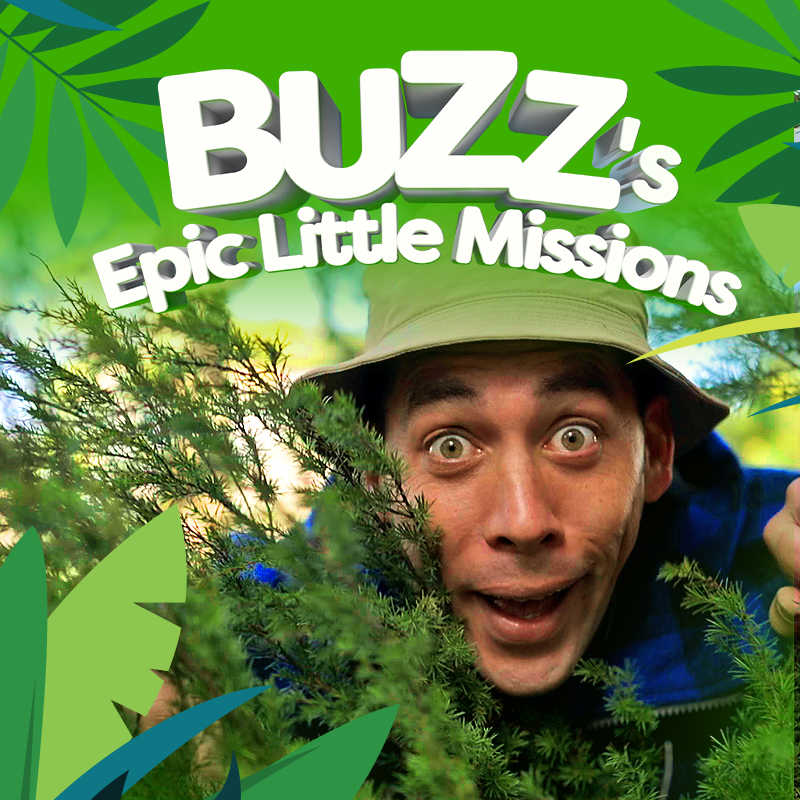 Buzz's Epic Little Missions