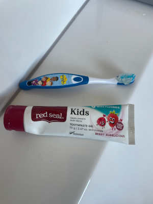 Red Seal Toothpastes