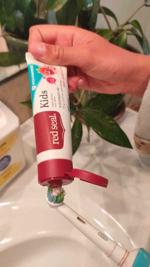 Red Seal Toothpastes