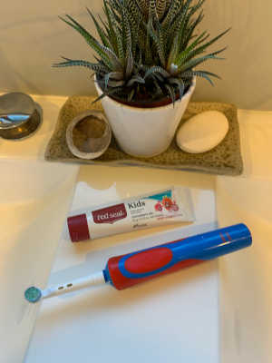 Red Seal Toothpastes