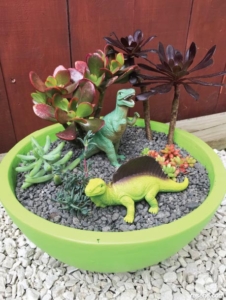 Dinosaur garden