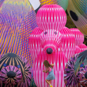 Lost Dogs' Disco