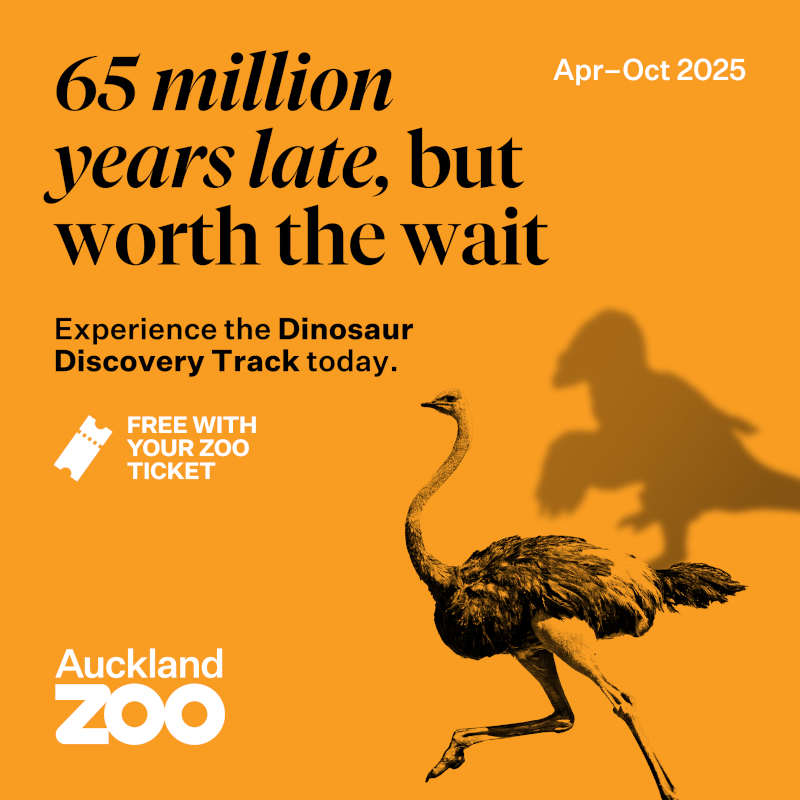 Auckland Zoo Dinosaur Discovery Track