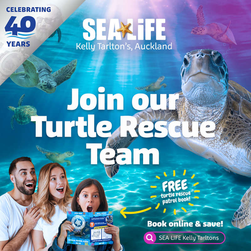 Kelly Tarlton's Turtle Rescue
