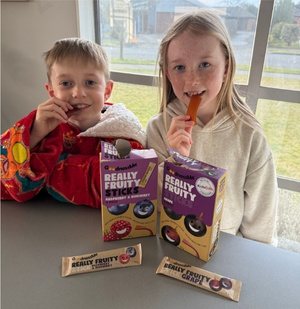 GoodnessMe fruit snacks review