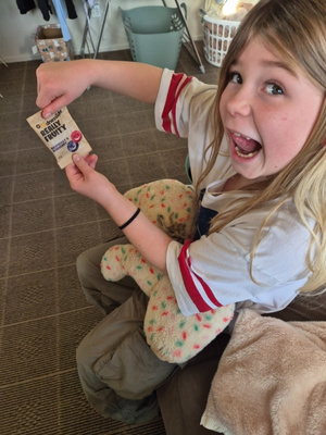 GoodnessMe fruit snacks review