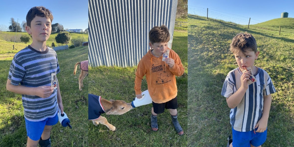 GoodnessMe fruit snacks review