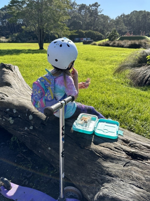 GoodnessMe fruit snacks review