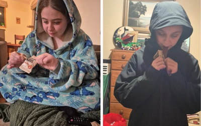 GoodnessMe fruit snacks review