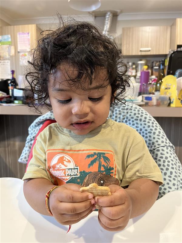 Little Bellies review Little Bellies Snacks review